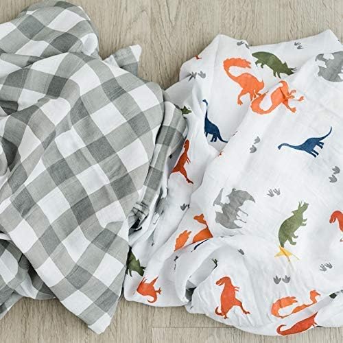 GRACED SOFT LUXURIES 2-Pack Dinosaur Swaddle Blanket Super Soft Luxury Decorative Baby Muslin Swaddle Blankets Wraps (Dinoland)