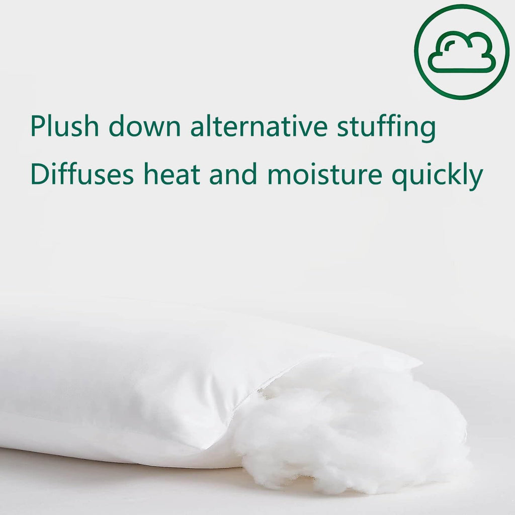 Squishy Flat Bed Pillows Queen Size Set of 2 Extra Soft Thin Pillow for Stomach Sleeping Adults Kids Back Sleeper Plush Fluffy White 20x30 inches