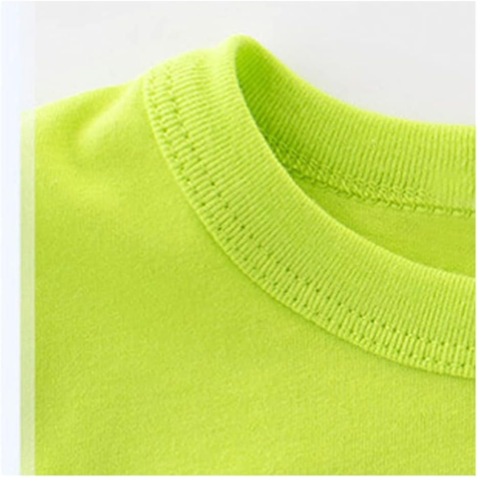 Baby Toddler Boys 4 Pieces T-shirts and Shorts Dinosaur Tops & Shorts Summer Outfits