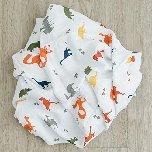 GRACED SOFT LUXURIES 2-Pack Dinosaur Swaddle Blanket Super Soft Luxury Decorative Baby Muslin Swaddle Blankets Wraps (Dinoland)