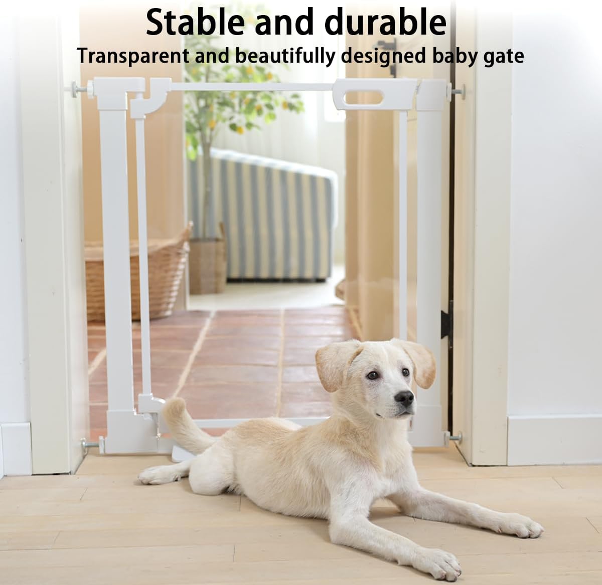 Clear Baby Safety Gate for Stairs,29"-48" Wide, 30" Tall Pressure Mounted Acrylic Pet Gate, Easy Walk Through Auto Close Child Gate for Doorways and House,29.52-37.79"