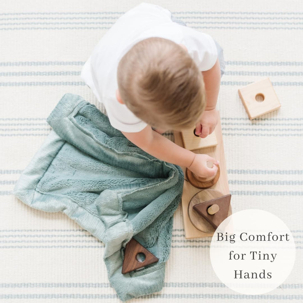 SARANONI Security Blankets for Babies Super Soft Boutique Quality Lush Luxury Baby Blanket (Mini 15" x 20", Eucalyptus)