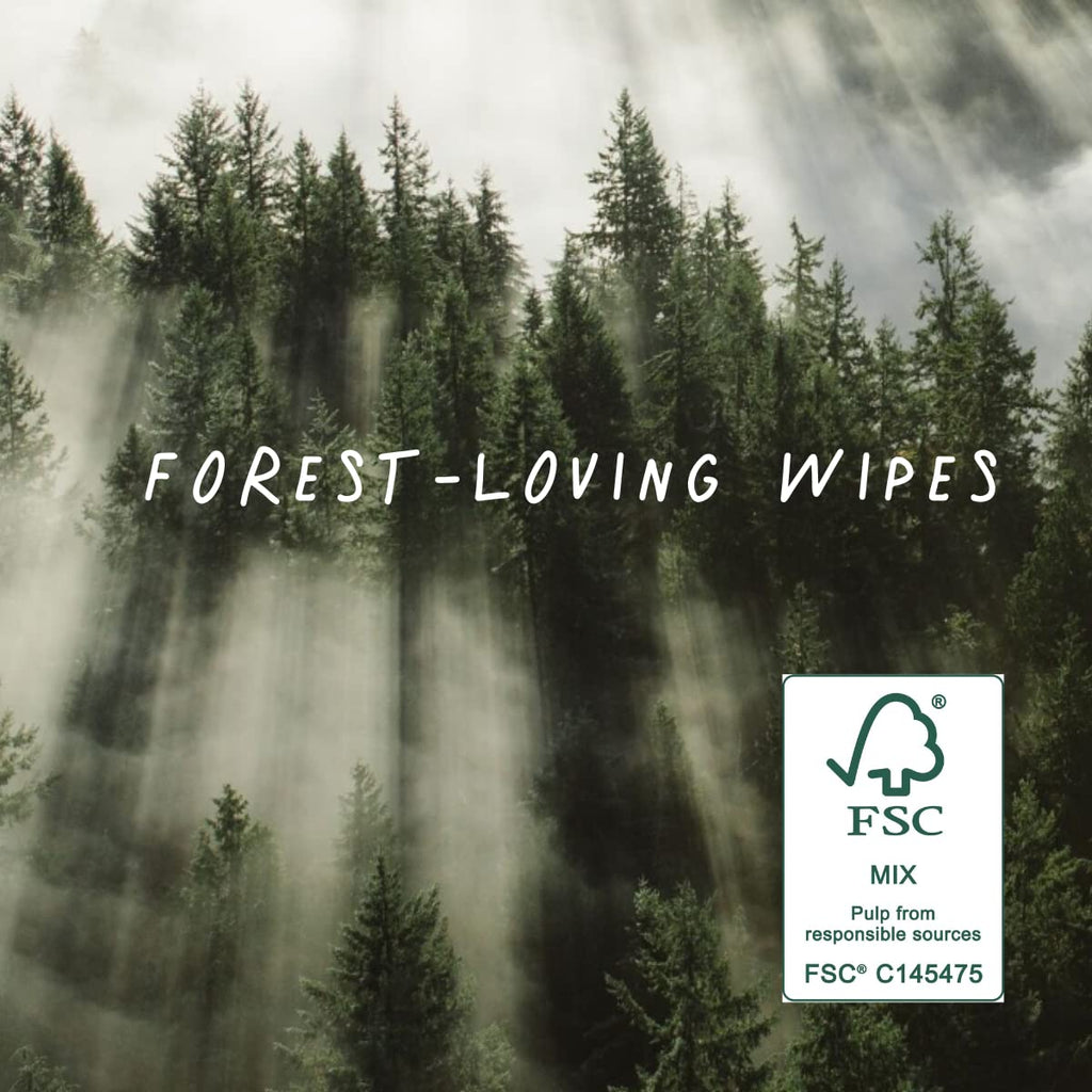 JOONYA Unscented Baby Wipes — Plant-Based, Fragrance-Free Diaper Wipes | Hypoallergenic, Non-Toxic, Compostable & Biodegradable Wet Wipes for Sensitive Newborn Skin | 3 Packs of 80 Wipes (240 Total)