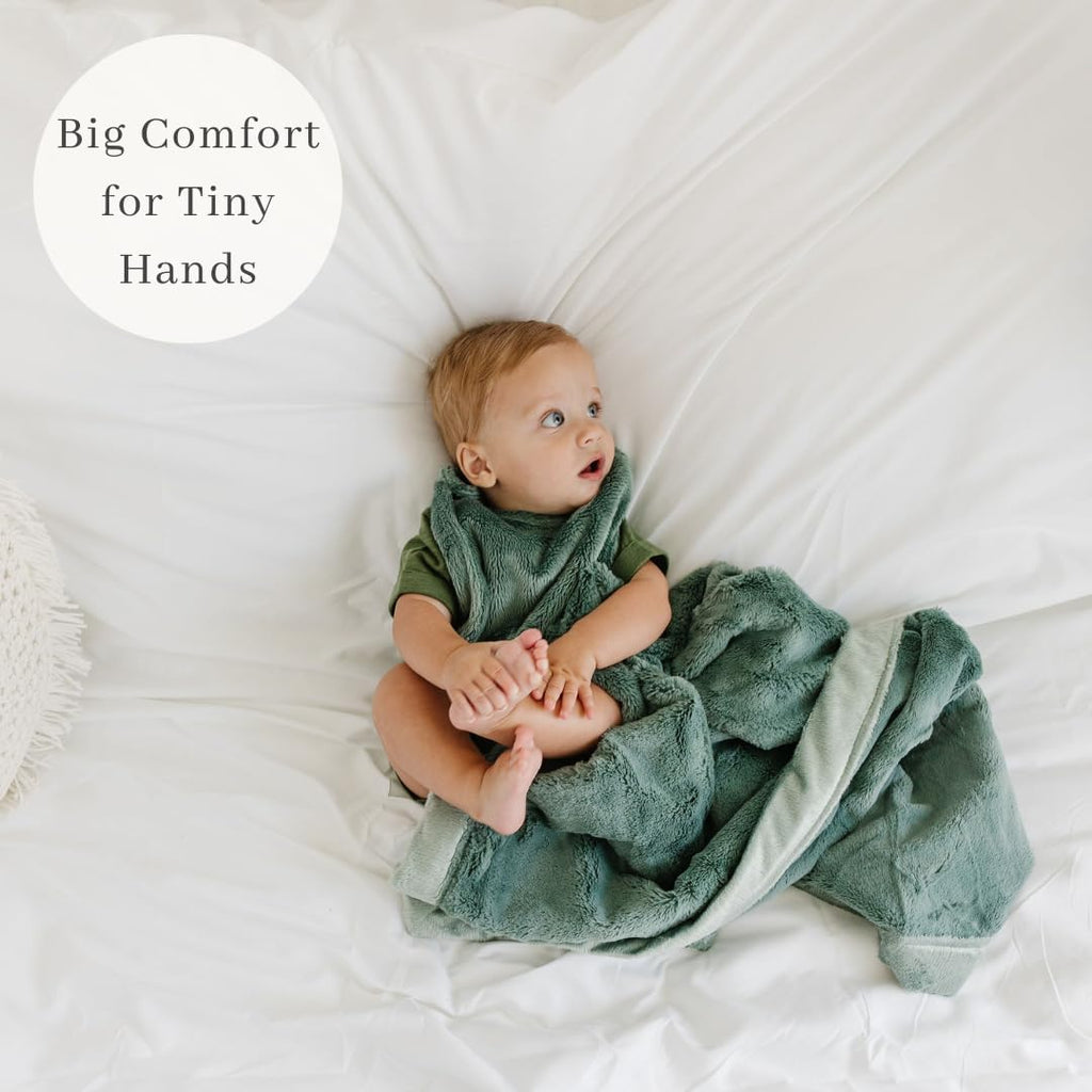 SARANONI Receiving Blankets for Babies Super Soft Boutique Quality Lush Luxury Baby Blanket (Eucalyptus, Receiving Blanket 40" x 30")
