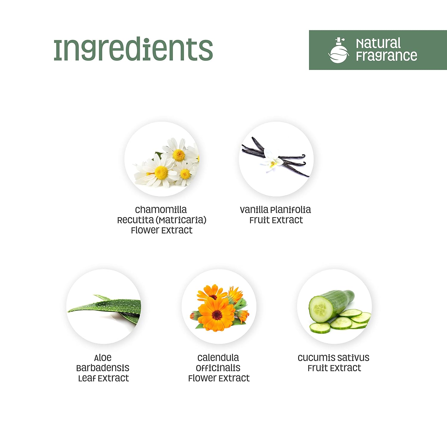 Nature's Baby Shampoo/Conditioner Combo Pack - Formulated for Problem and Sensitive Skin - EU Certified Non-Toxic - pH Neutral & Tear Free - Coconut Pineapple, 16 oz, 2 Pack