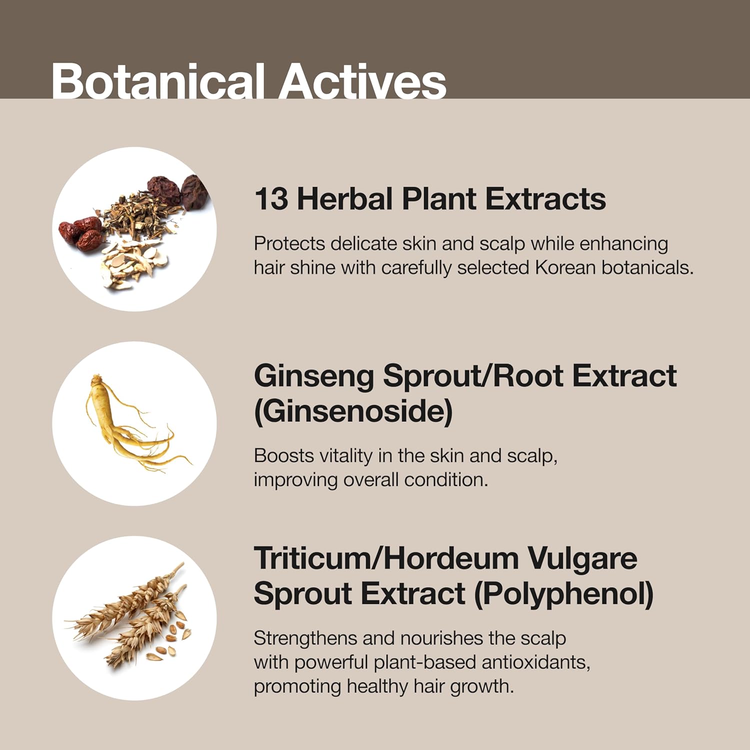 Korean Baby Skincare Set – 2-in-1 Organic Shampoo & Bath + Cream & Lotion, Gentle Newborn & Kids Care, Safe & Soothing Hydration