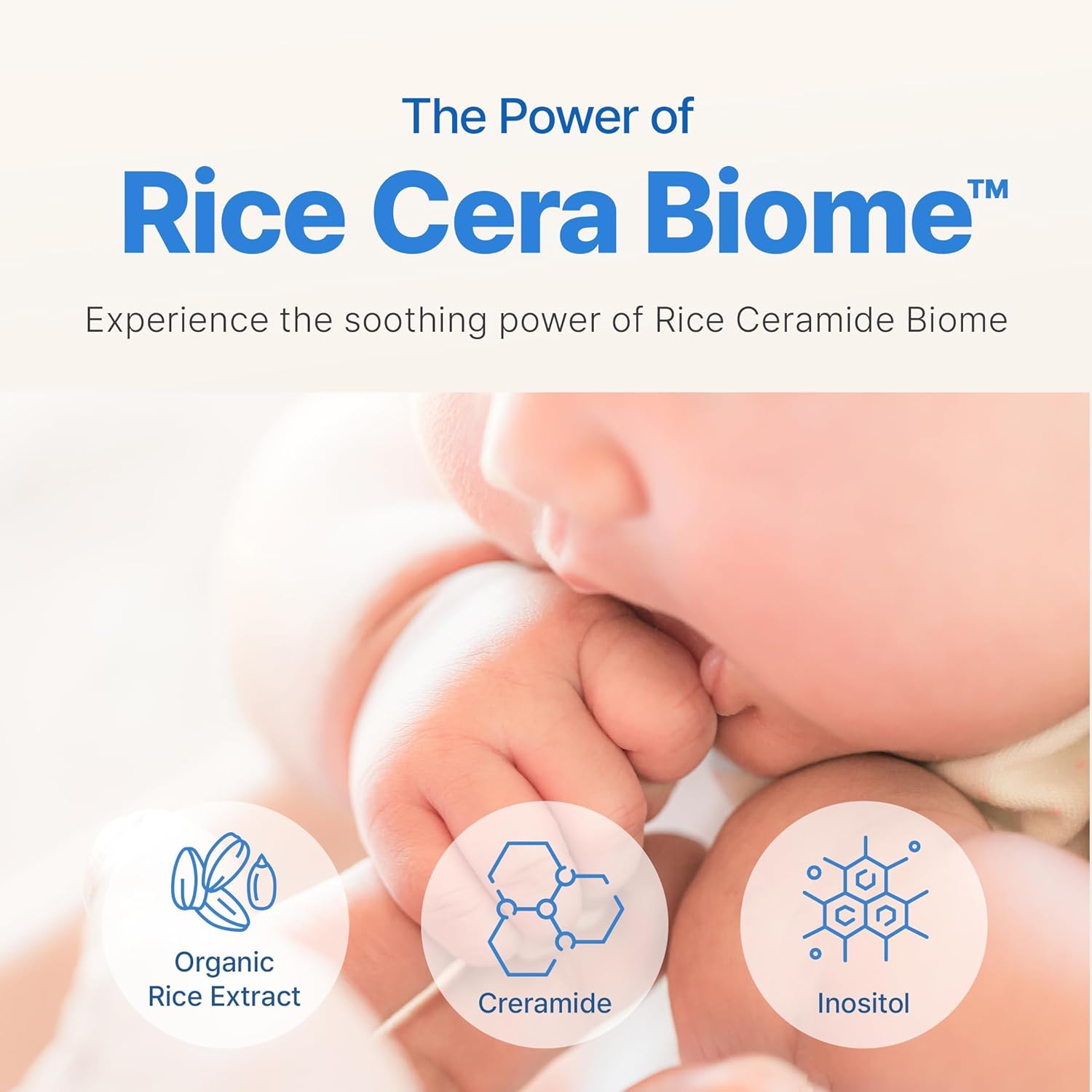 BEBESUP- 베베숲 Head to Toe Wash Baby Shampoo | Korean Skincare for Sensitive & Atopic Skin Organic Rice Cera Biome Hypoallergenic Coconut-Derived Cleanser Head to Toe Use 10.14 fl oz