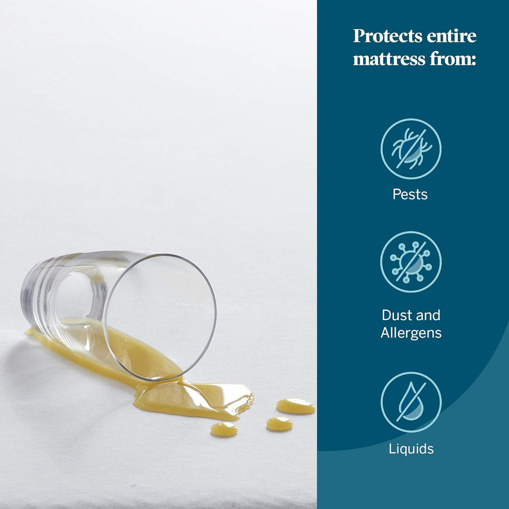 LUCID Premium Rayon from Bamboo Jersey Mattress Protector | Queen Size Waterproof Mattress Protector | Ultra Soft, Fitted Sheet Style, White