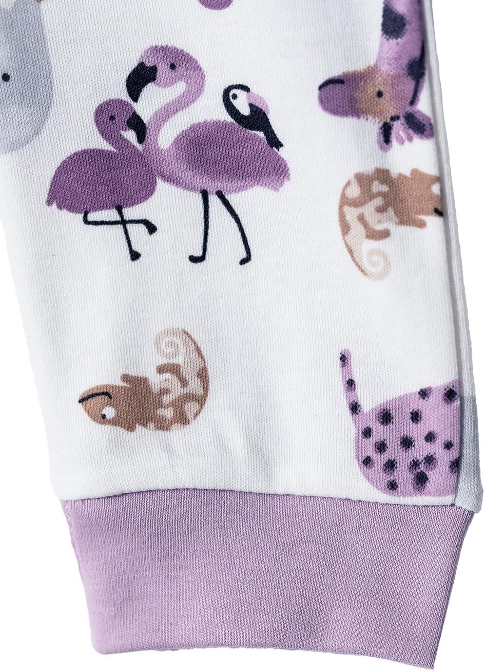 Toddler and Baby Unisex Pants 2-Pack -Baby Pants 0-3 Months to 18-24 Months Baby Cotton Sweatpants Jogger Boy Girl