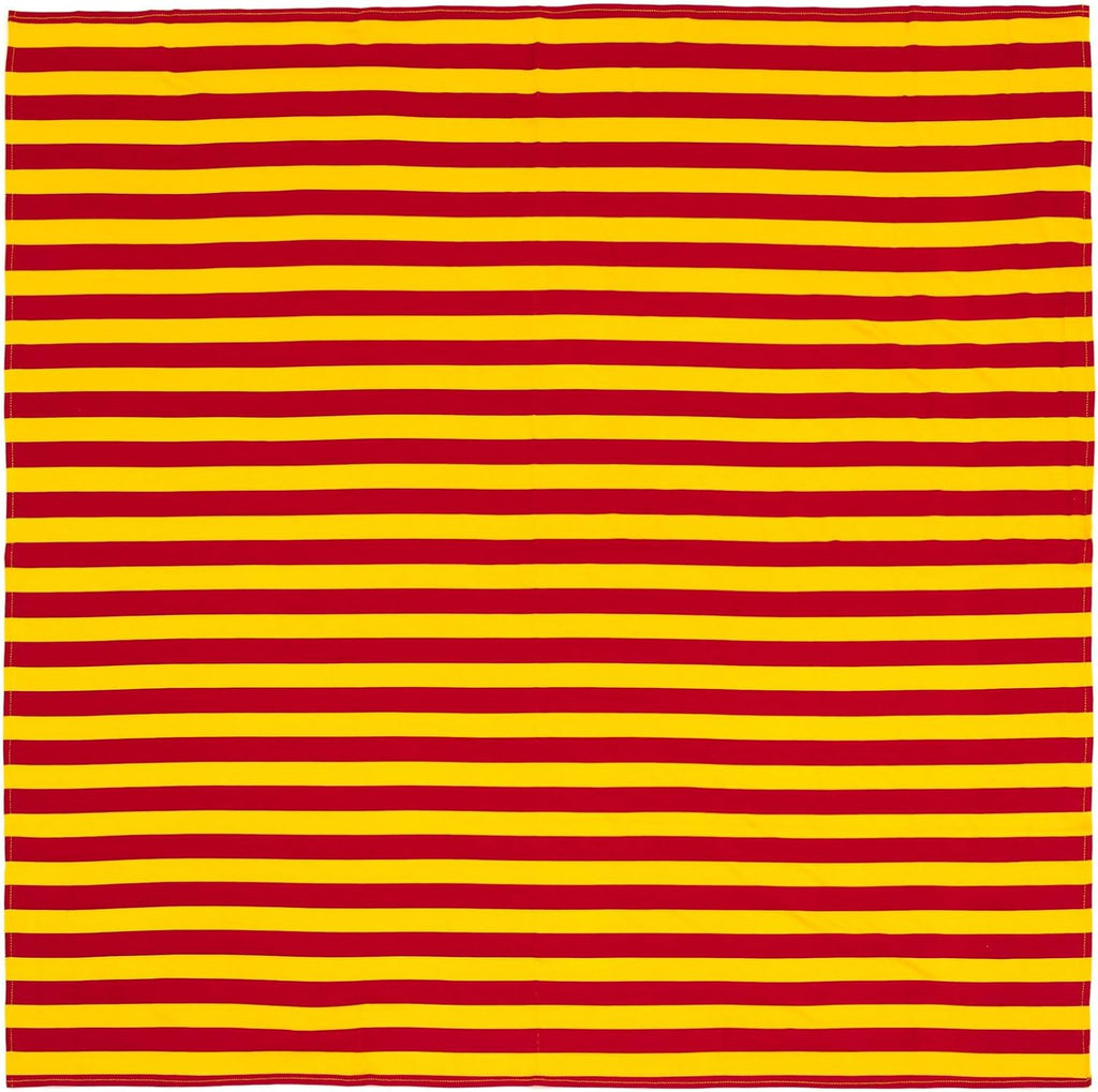 Harry Potter 4 Pack Swaddle Blankets - One Size Fits All