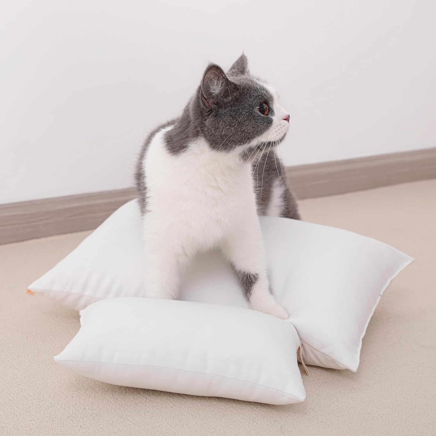 NTBAY Tiny Pillows, Down Alternative 7"x11" Microfiber Mini Pillow for Travel, Pets, Soft Machine Washable Small Pillows for Neck, Wrist, Lumbar and Knee, Aqua