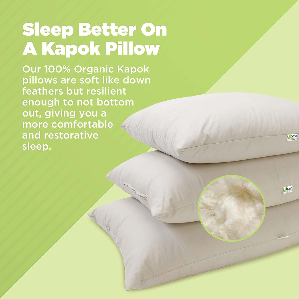 Bean Products Standard Organic Kapok Pillow + Natural Org Case - 20" x 26" - Organic Cotton Zippered Shell - Made in USA