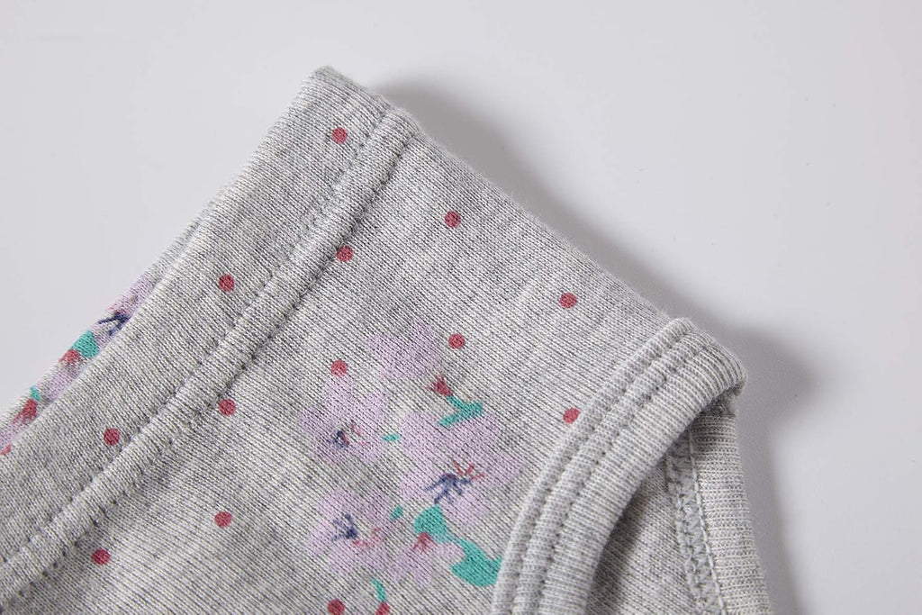 Cadidi Dinos Little Girls' Soft Cotton Underwear Kids Cool Breathable Comfort Panty Briefs Toddler Undies(Pack of 6)