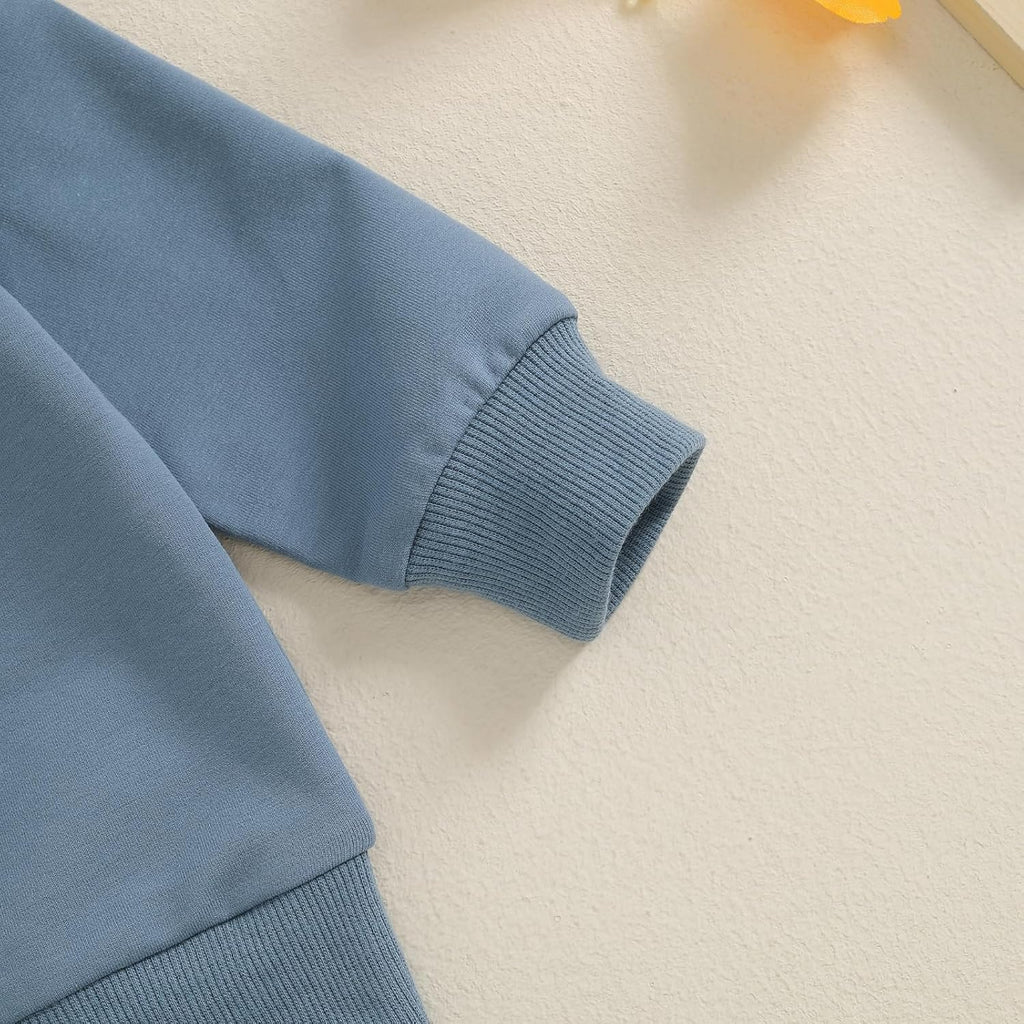 WZTYYDS Toddler Boy Clothes 2T 3T 4T 5T Fall Outfits Baby Pullover & Pants Sets Kids Winter 2Pcs Sweatsuit