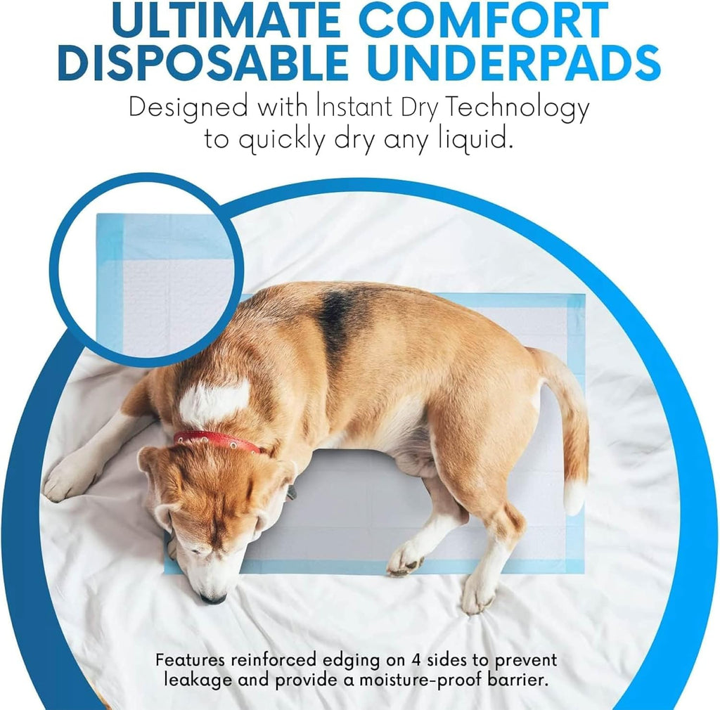 Healqu Disposable Underpads - Absorbent Incontinence Bed Pads for Adults, Kids, Elderly, and Pets - Fluid and Urine Bed Protection - Large, Thick, Fluff and Polymer Chux (24x36 Pack of 50)