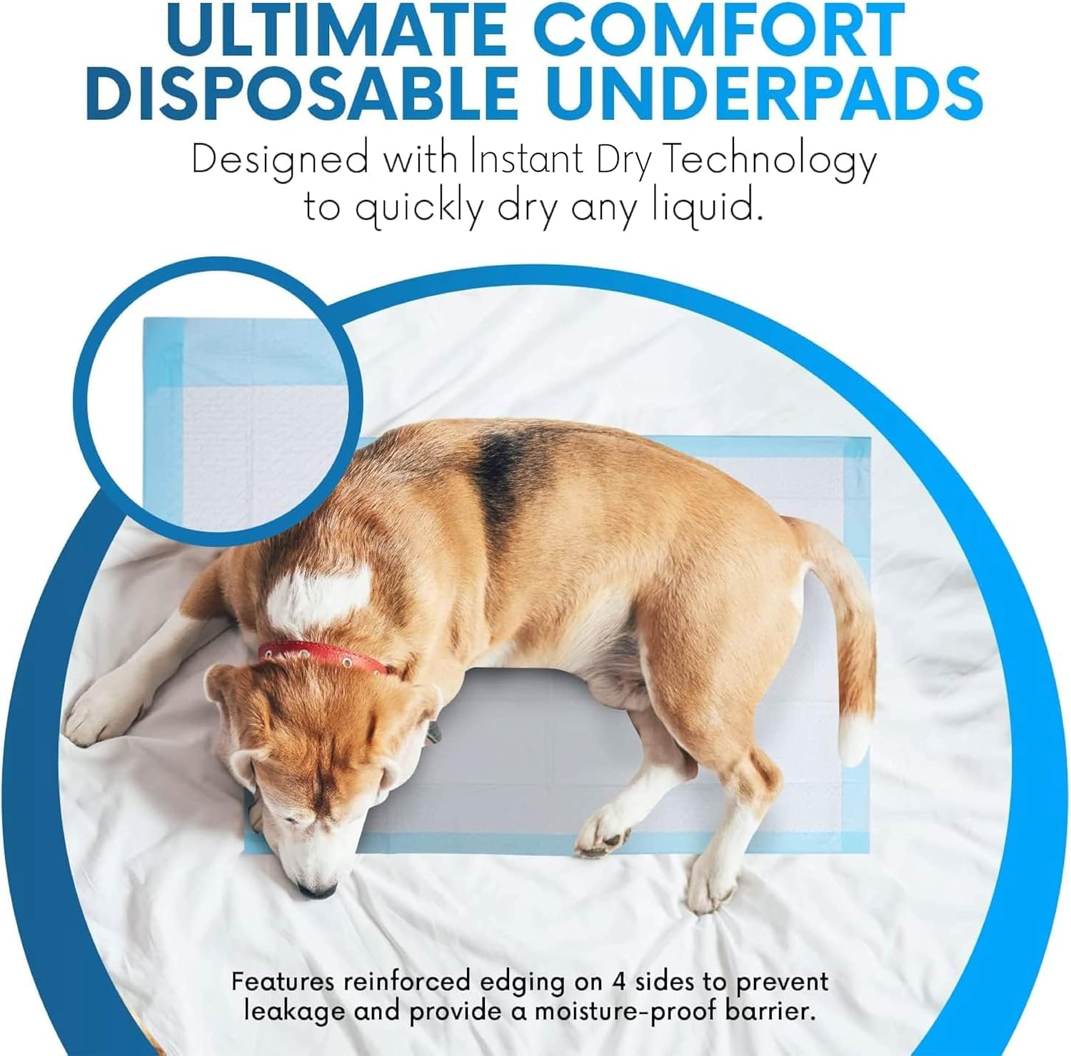 Healqu Disposable Underpads - Absorbent Incontinence Bed Pads for Adults, Kids, Elderly, and Pets - Fluid and Urine Bed Protection - Large, Thick, Fluff and Polymer Chux (24x36 Pack of 50)