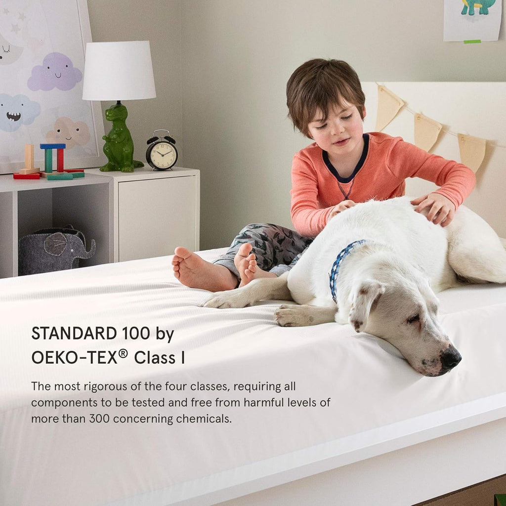 Tuft & Needle King Mattress Protector - Waterproof, Liquid-Proof, Sleeps Quiet, Fitted Sheet Style, Soft and Comfortable White
