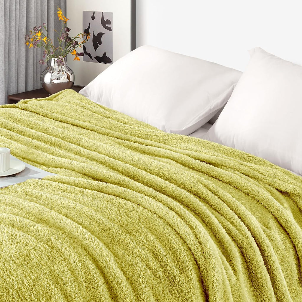 Exclusivo Mezcla Fleece Throw Blanket for Couch Sofa, Soft Warm and Fluffy Blankets for Women Men Girls Kids, Suitable for All Seasons, Light Green, 50x60 Inches