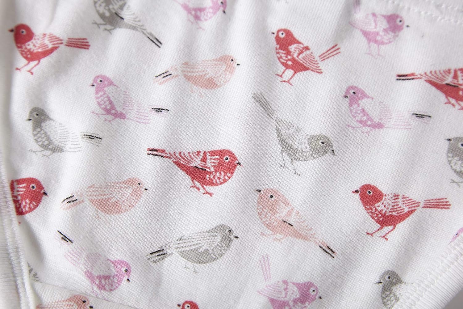 Cadidi Dinos Little Girls' Soft Cotton Underwear Kids Cool Breathable Comfort Panty Briefs Toddler Undies(Pack of 6)