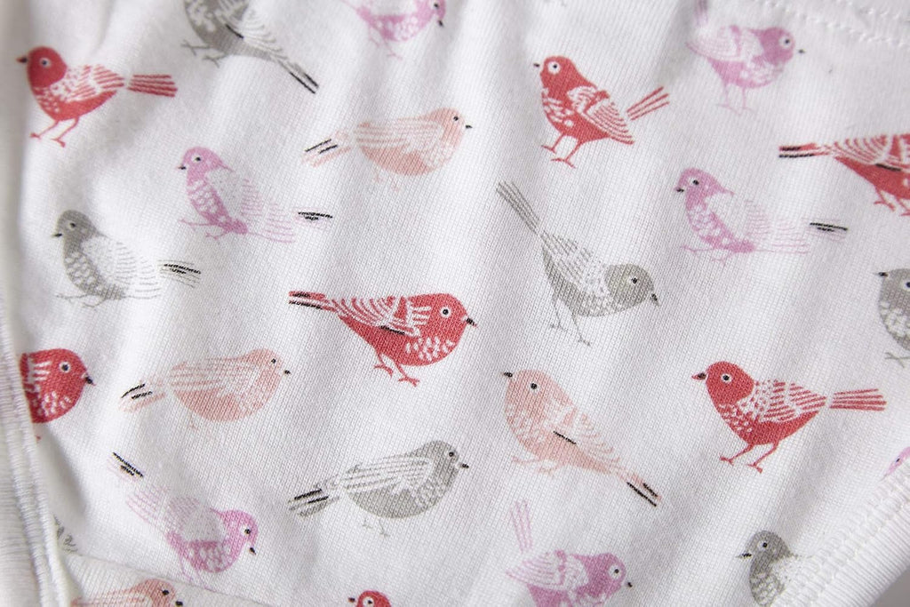 Cadidi Dinos Little Girls' Soft Cotton Underwear Kids Cool Breathable Comfort Panty Briefs Toddler Undies(Pack of 6)