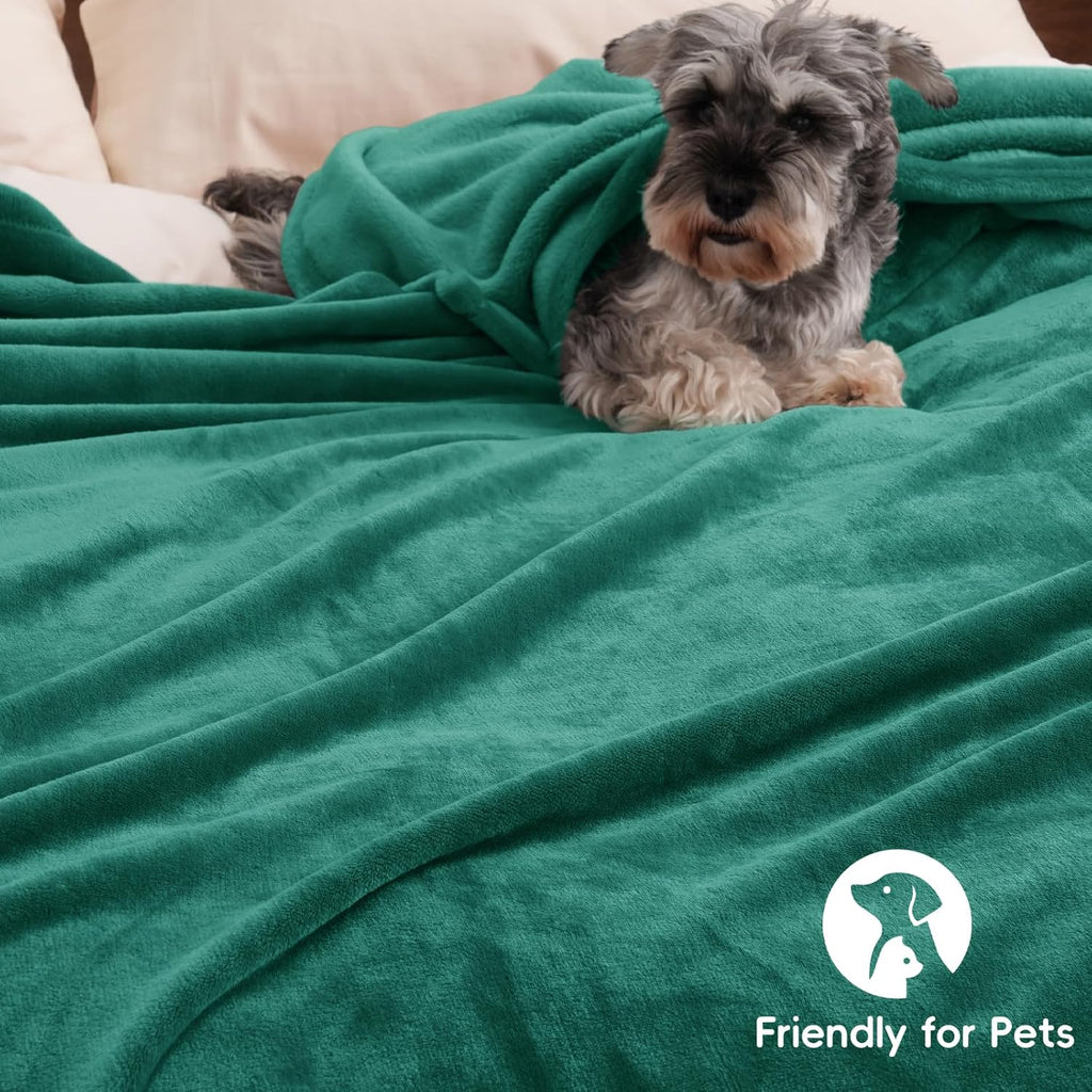 PHF Ultra Soft Fleece Blanket Twin Size, No Shed No Pilling Luxury Plush Cozy 300GSM Lightweight Blanket for Bed, Couch, Chair, Sofa Suitable for All Season, 66" x 90", Teal Green