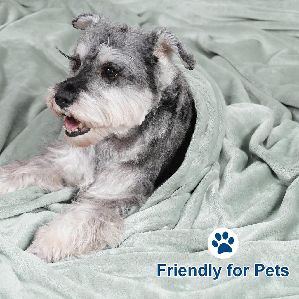 PHF Ultra Soft Fleece Blanket Queen Size, No Shed No Pilling Luxury Plush Cozy 300GSM Lightweight Blanket for Bed, Couch, Chair, Sofa Suitable for All Season, 90" x 90", Sage Green