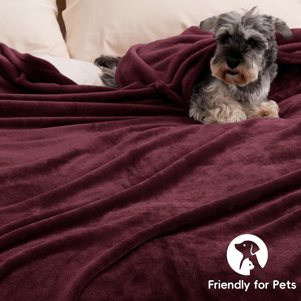 PHF Ultra Soft Fleece Throw Blanket, No Shed No Pilling Luxury Plush Cozy 300GSM Lightweight Blanket for Bed, Couch, Chair, Sofa Suitable for All Season, 50" x 60", Wine Red/Burgundy