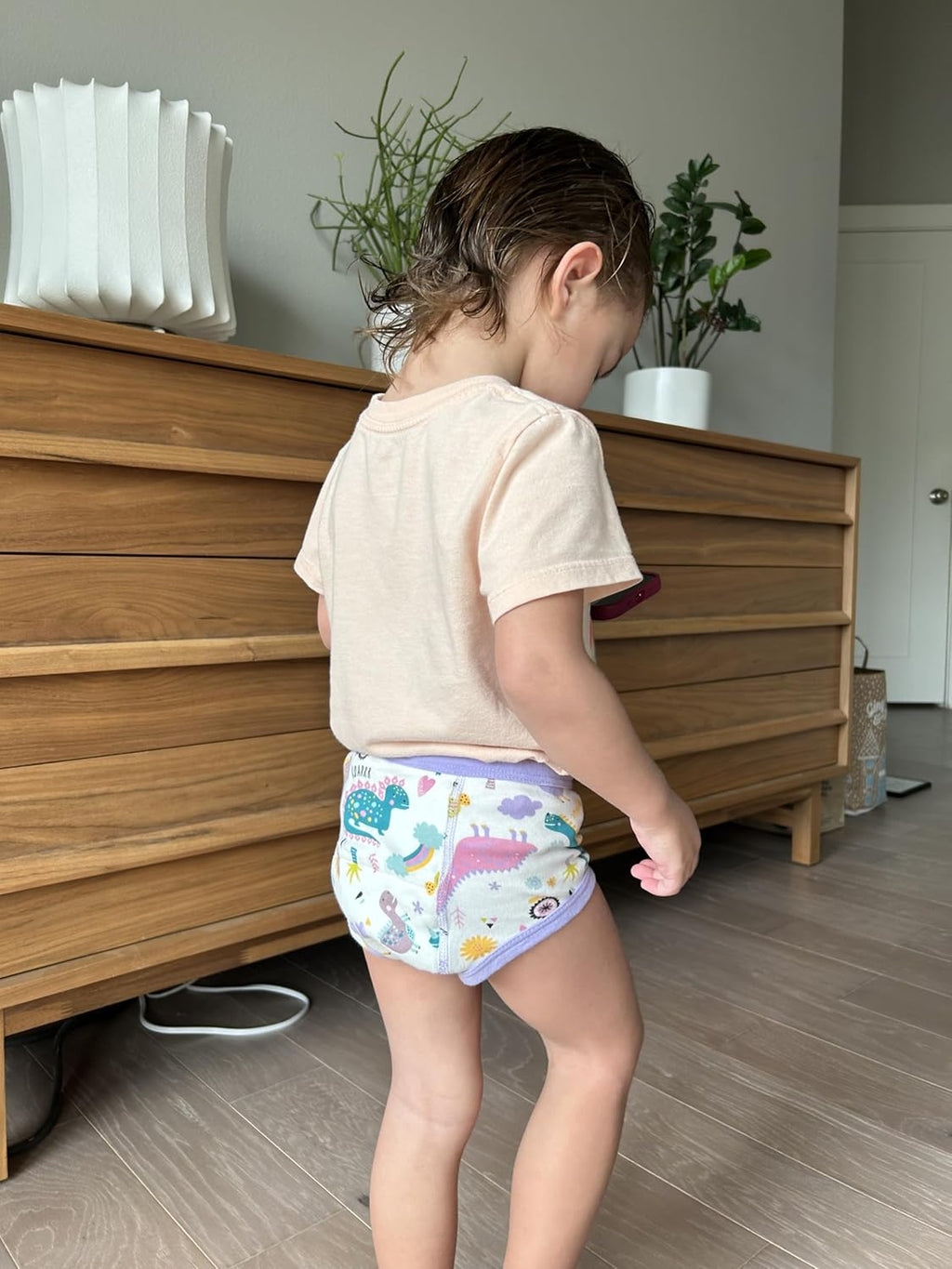 MooMoo Baby Potty Training Underwear 10 Packs Absorbent Toddler Training Pants for Boys and Girls Cotton Pee Pants 2T-9T